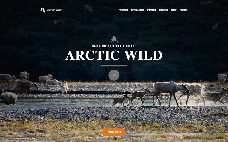 screenshot of a Arctic Wild clone